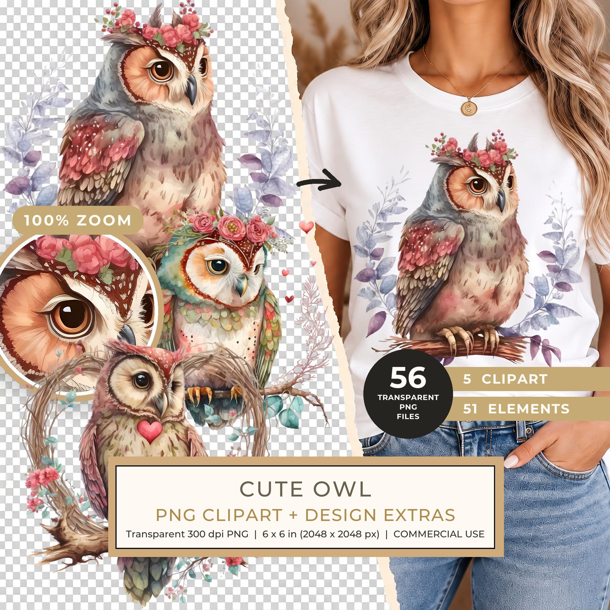 Cute Owl Clipart Collection PNG - Commercial Use