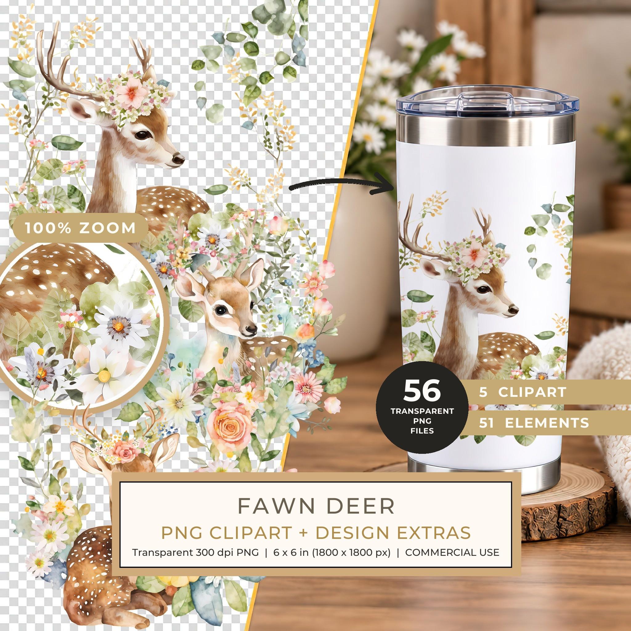 Cute Fawn Deer Clipart PNG - Commercial Use