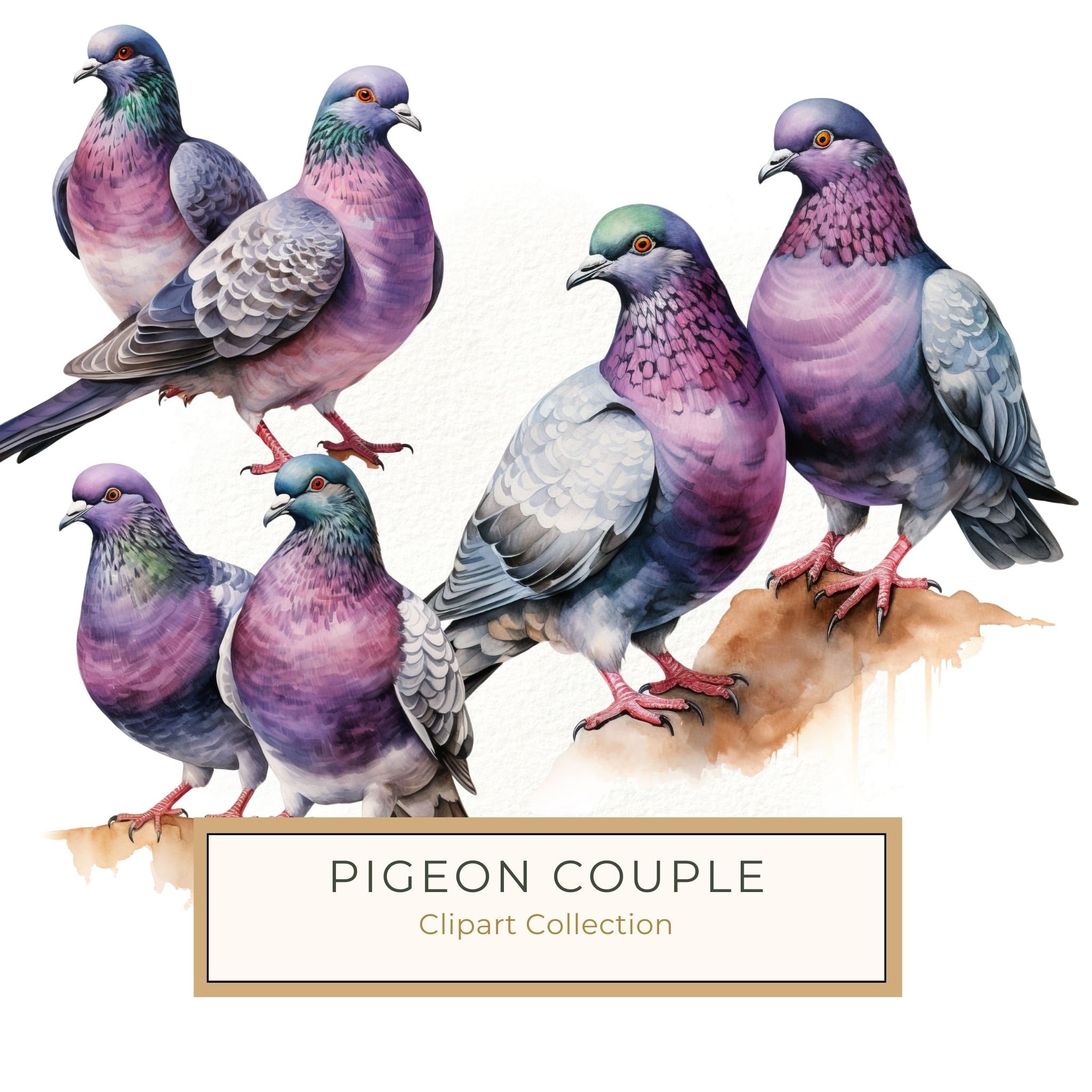 Watercolor Pigeon Couple Art: Valentine's Day Illustration (Digital Download)