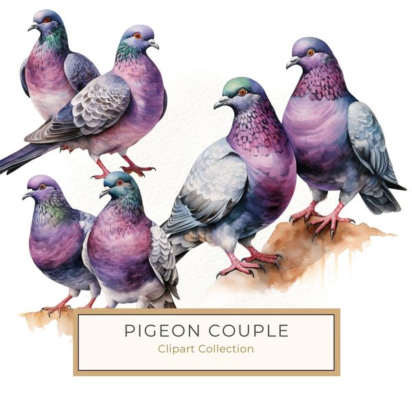 Watercolor Pigeon Couple Art: Valentine's Day Illustration (Digital Download)