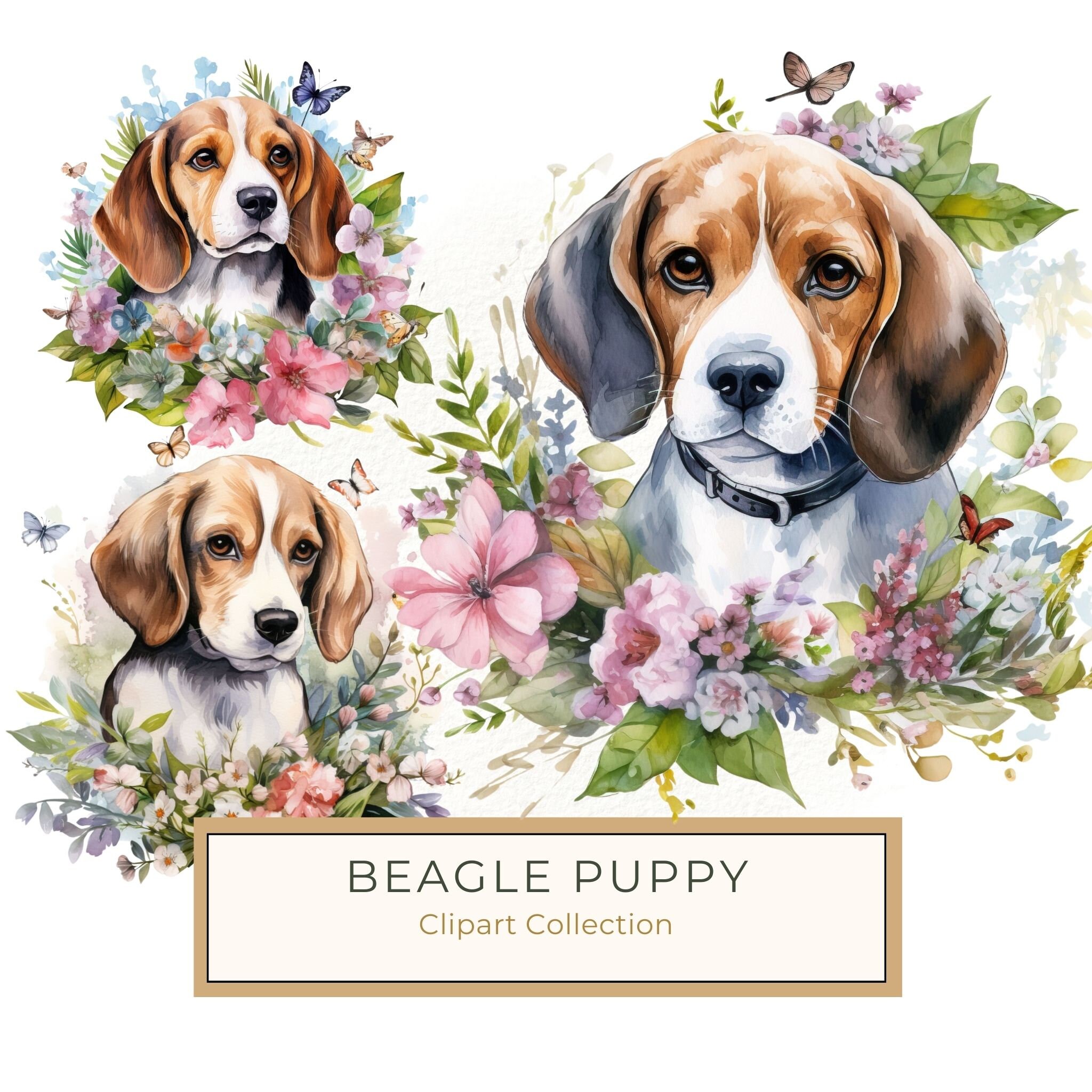 Watercolor Beagle Puppy Clipart: Floral Wreath Dog PNG (Digital Download)