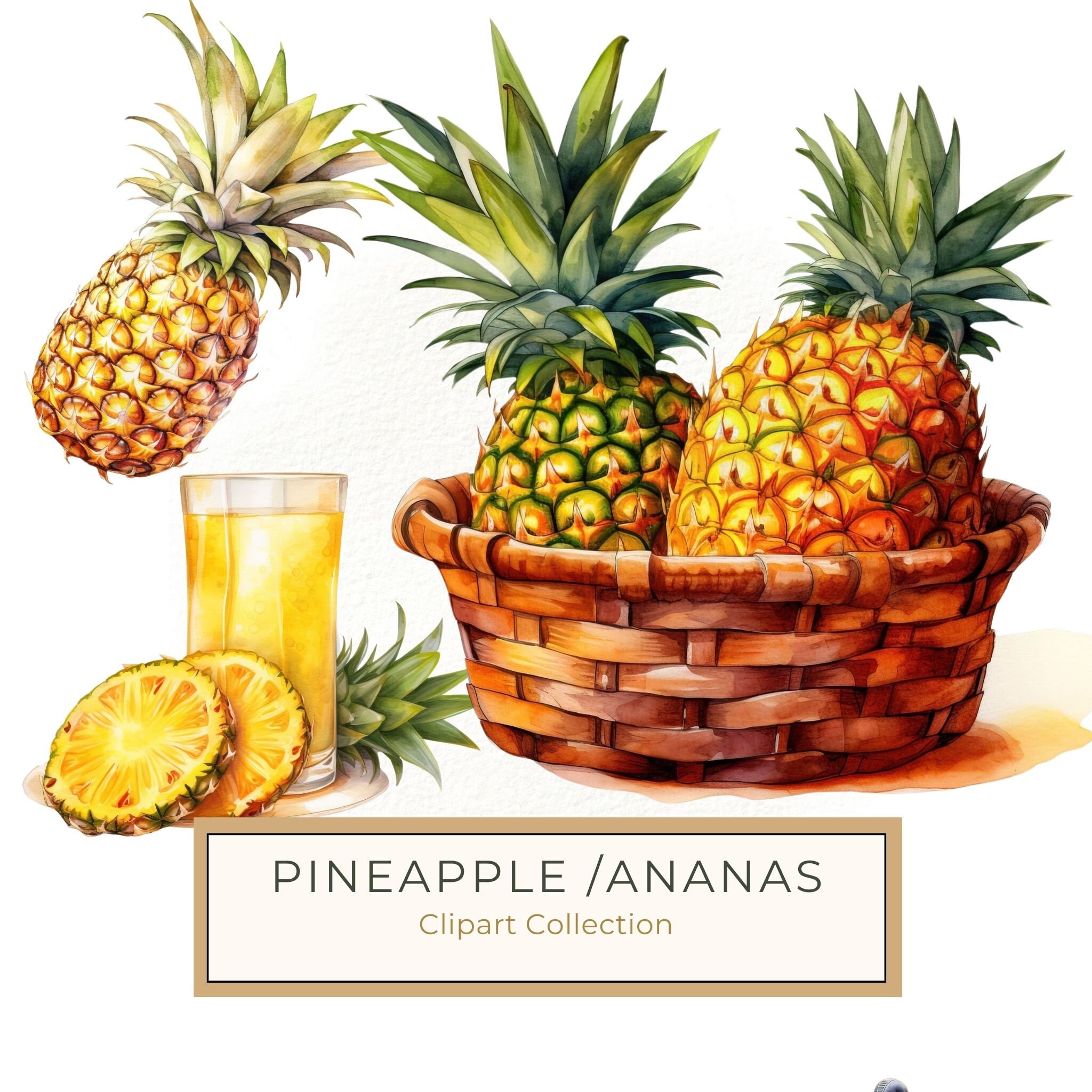 Watercolor Pineapple Clipart: Tropical Fruit PNG, Art Printable (Digital Download)