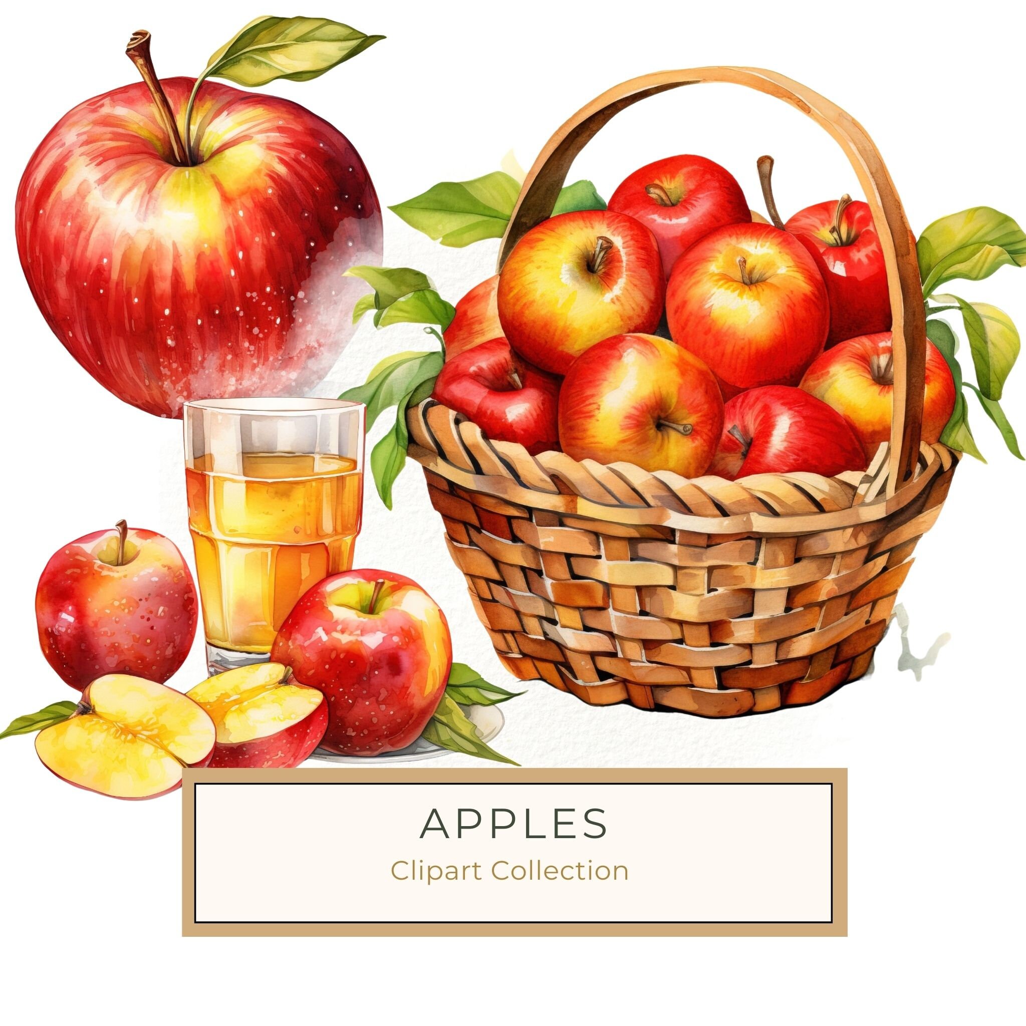 Watercolor Apple Clipart: Red Apples in Basket (PNG JPG, 300dpi)