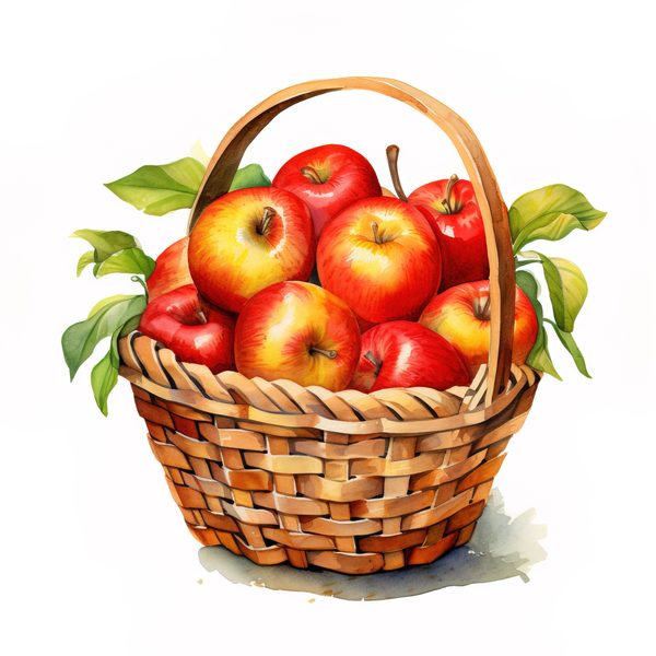 Watercolor Apple Clipart: Red Apples in Basket (PNG JPG, 300dpi) — image 10
