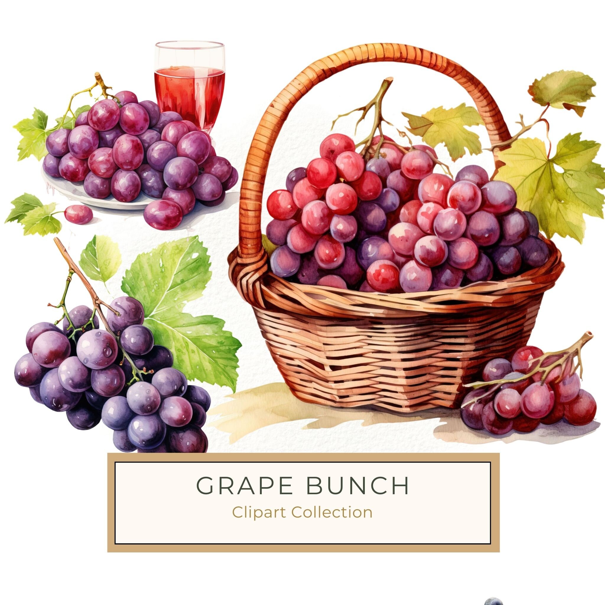 Watercolor Grapes Clipart: Fruit Juice Art (JPG, PNG)