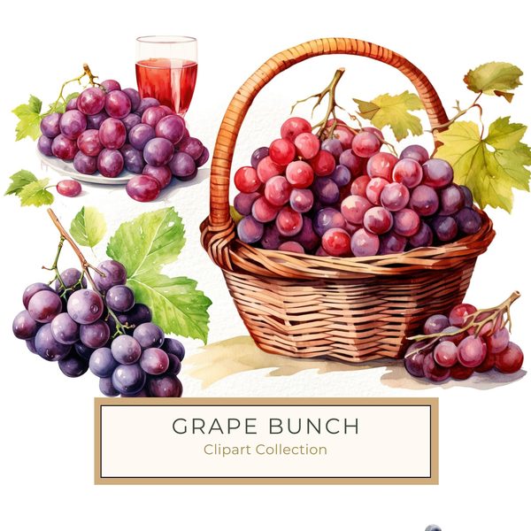 Watercolor Grapes Clipart: Fruit Juice Art (JPG, PNG)