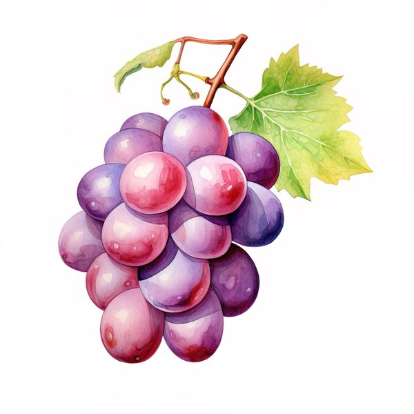 Watercolor Grapes Clipart: Fruit Juice Art (JPG, PNG) — image 3