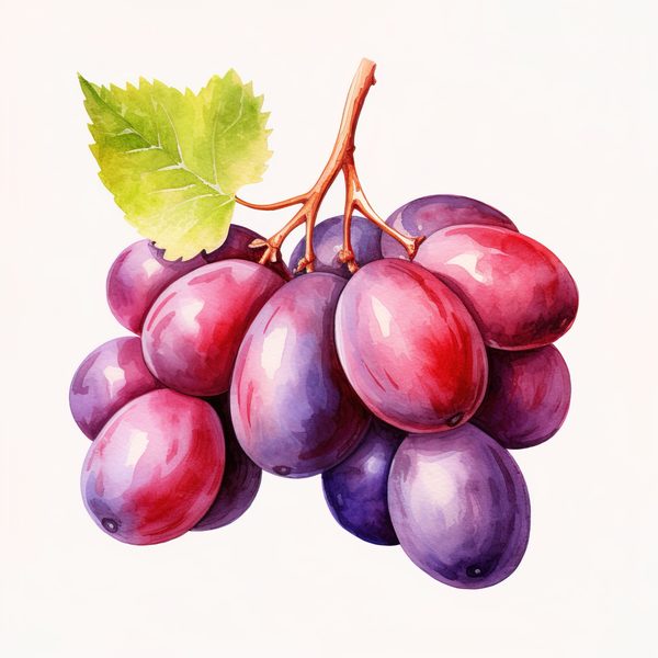 Watercolor Grapes Clipart: Fruit Juice Art (JPG, PNG) — image 7