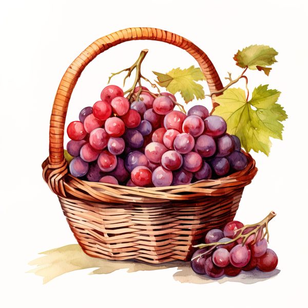 Watercolor Grapes Clipart: Fruit Juice Art (JPG, PNG) — image 11