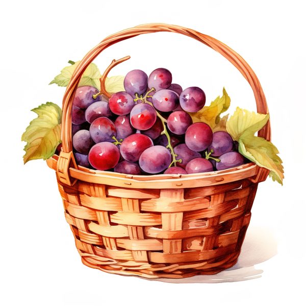 Watercolor Grapes Clipart: Fruit Juice Art (JPG, PNG) — image 12