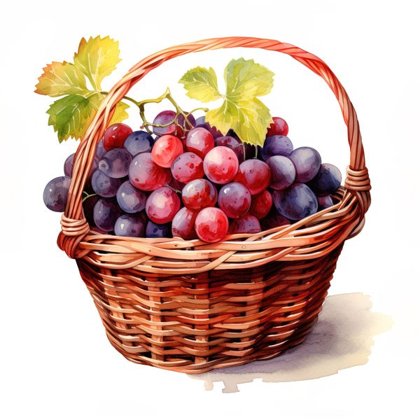 Watercolor Grapes Clipart: Fruit Juice Art (JPG, PNG) — image 13
