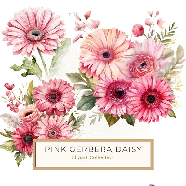 Pink Gerbera Daisy Bouquet Clipart: Watercolor Floral PNG JPG (Commercial Use)