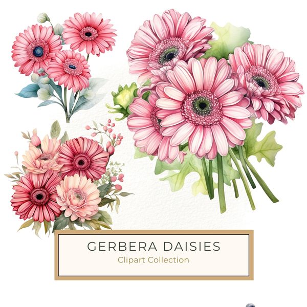Pink Gerbera Daisy Watercolor Clipart: Floral Digital Art (PNG & JPG)
