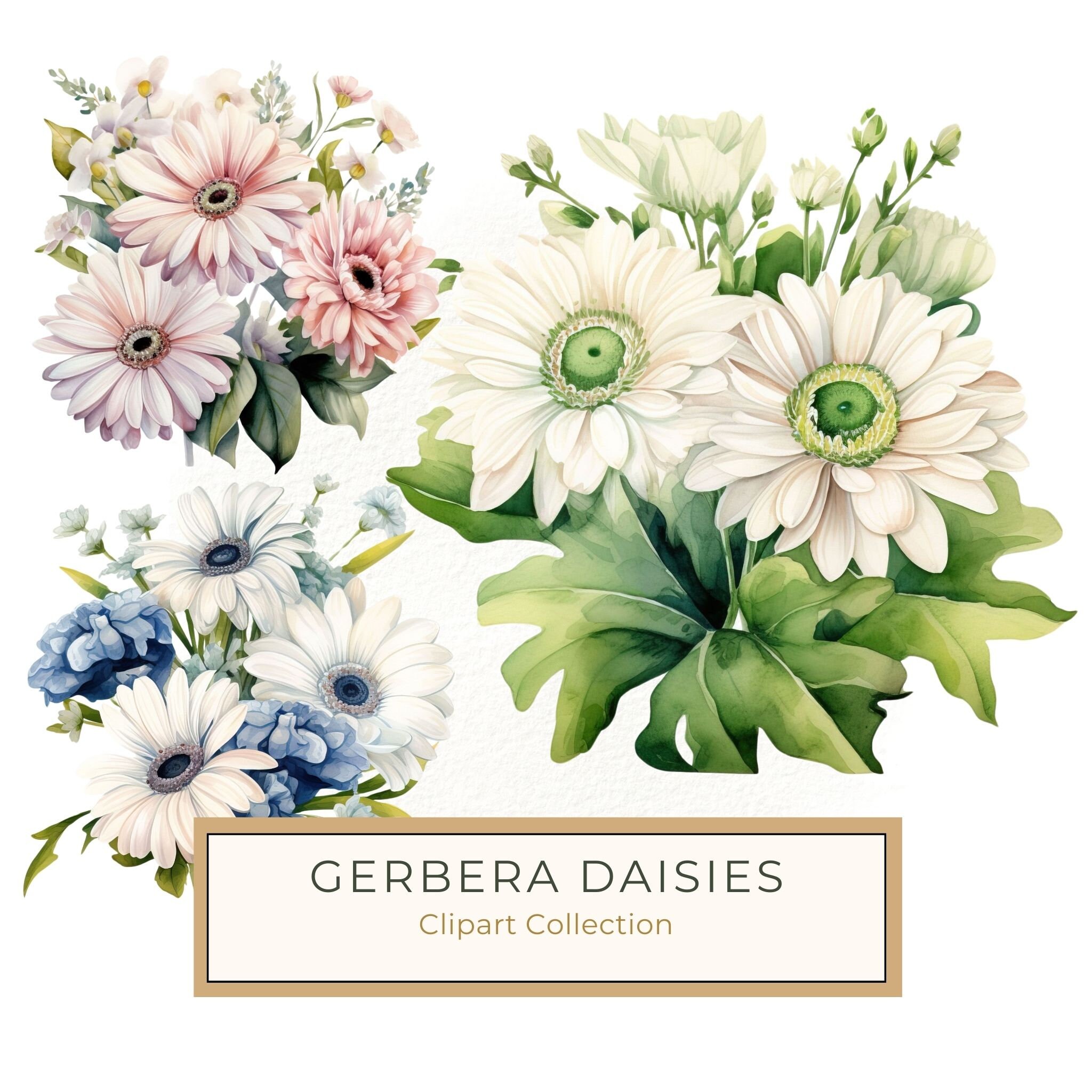 Watercolor Gerbera Daisy Clipart: Floral Bouquet PNG, Art Printable (Digital Download)