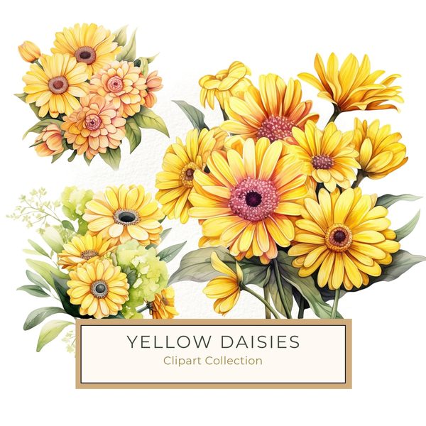 Watercolor Gerbera Daisy Clipart: Yellow Floral PNG Graphics (Commercial Use, 6x6 inches, 300 DPI)