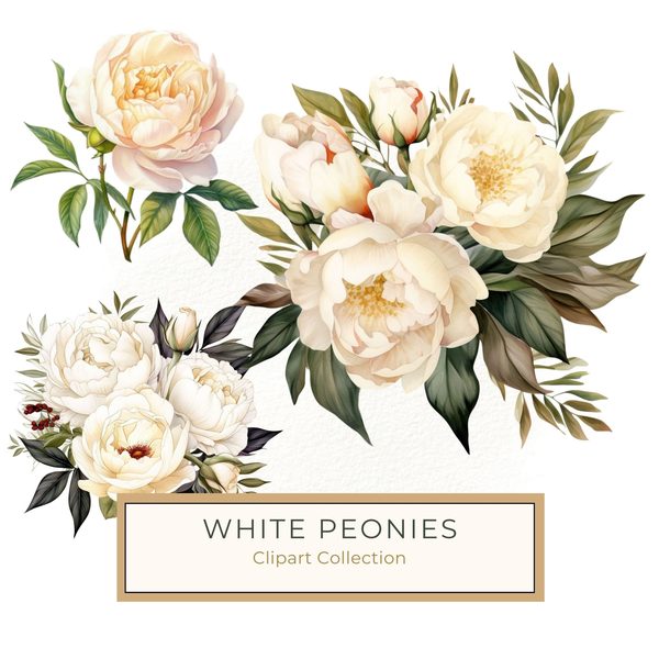 Watercolor White Peonies Clipart: Floral Bouquet Art (PNG JPG, 300 DPI)