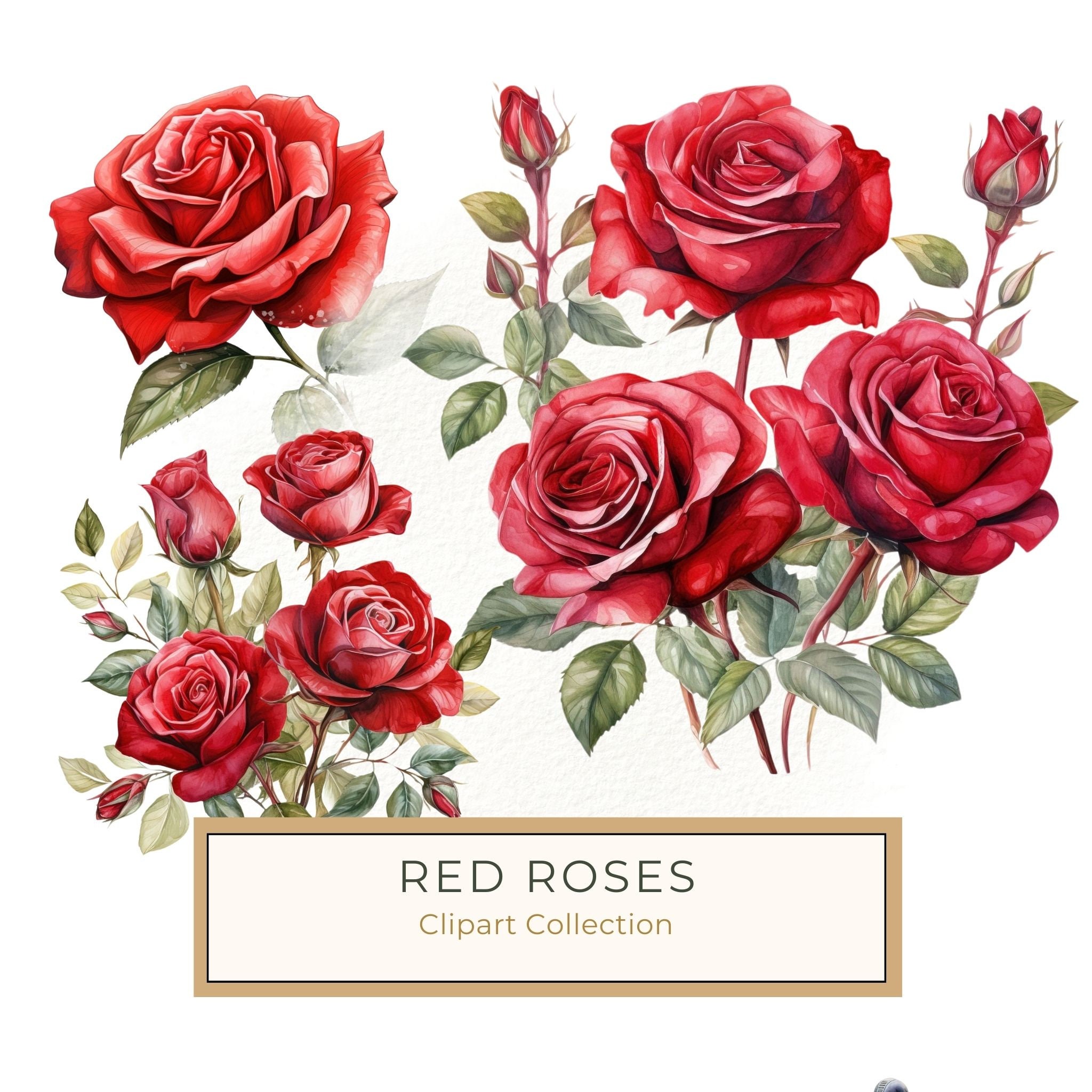 Red Roses Bouquet Clipart: Watercolor Wedding Invitation Design (JPG, PNG)