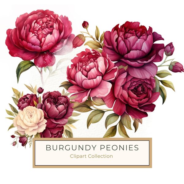 Watercolor Burgundy Floral Clipart: Roses & Peonies (JPG, PNG Digital Download)