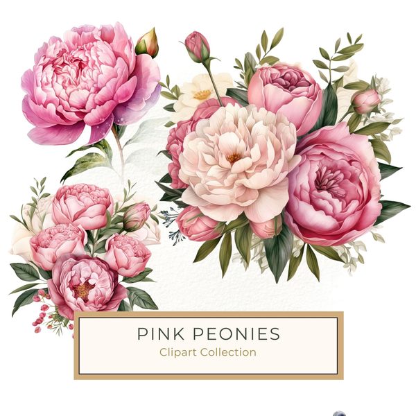 Watercolor Pink Peonies Clipart: Floral Design, Commercial Use (PNG JPG)