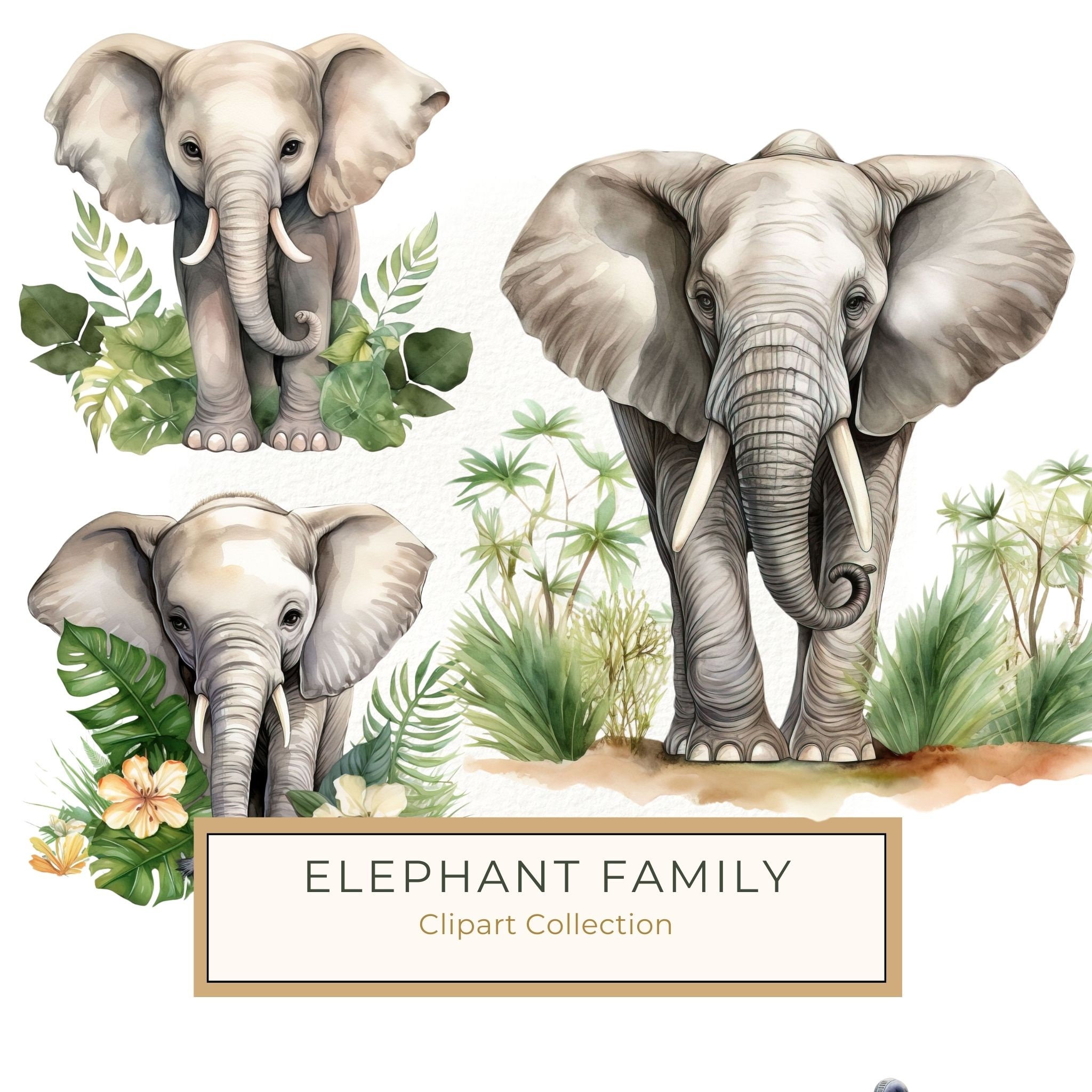 Elephant Family Clipart, Tropical Watercolor Art (PNG JPG)