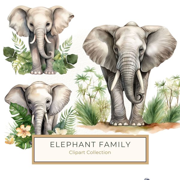 Elephant Family Clipart, Tropical Watercolor Art (PNG JPG)