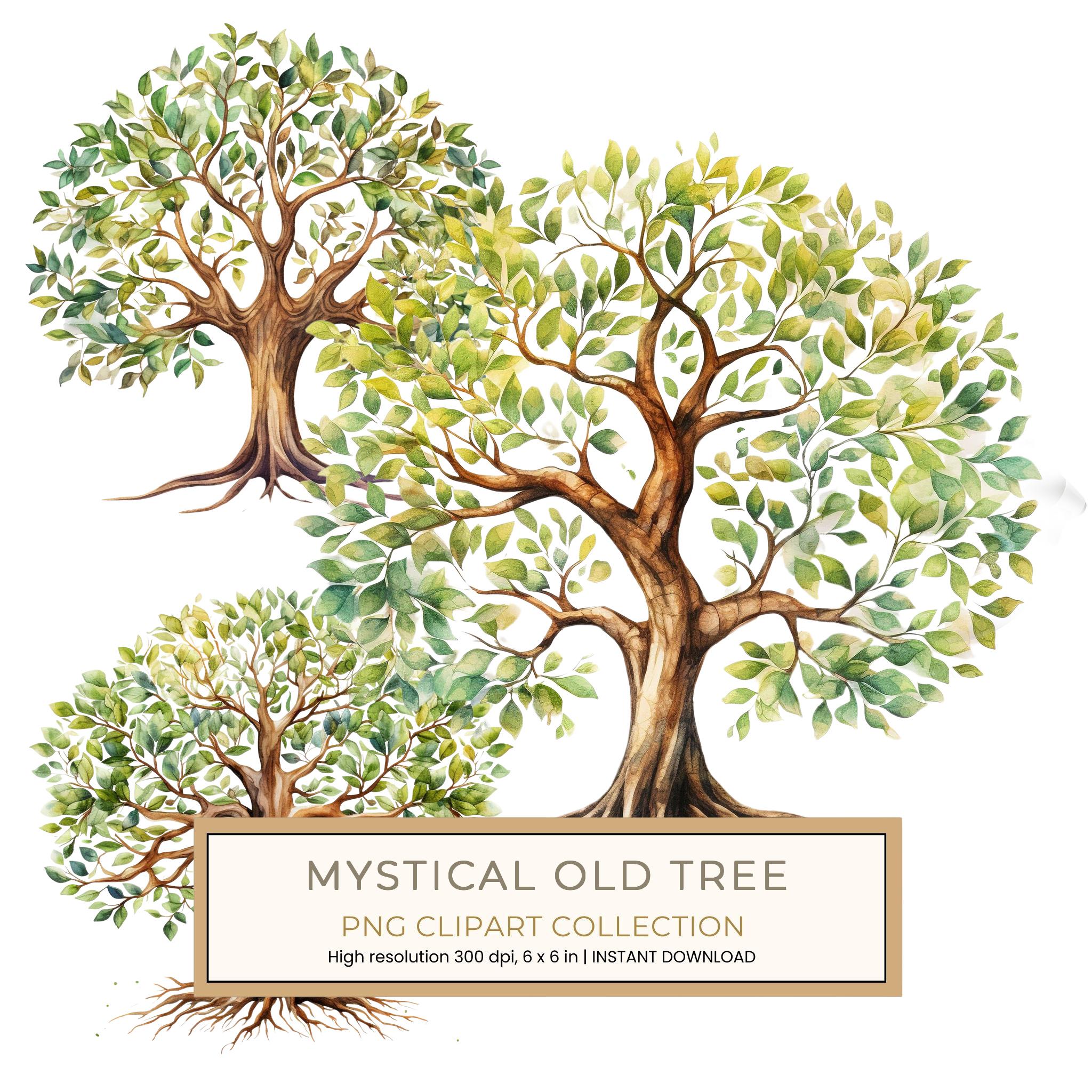 10 Mystical old Tree Clipart with Intricate Roots for Family Tree