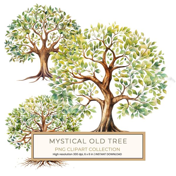10 Mystical old Tree Clipart with Intricate Roots for Family Tree