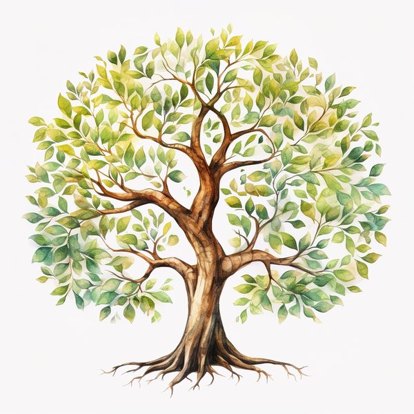 10 Mystical old Tree Clipart with Intricate Roots for Family Tree — image 3