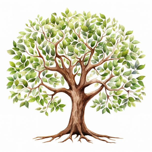 10 Mystical old Tree Clipart with Intricate Roots for Family Tree — image 6