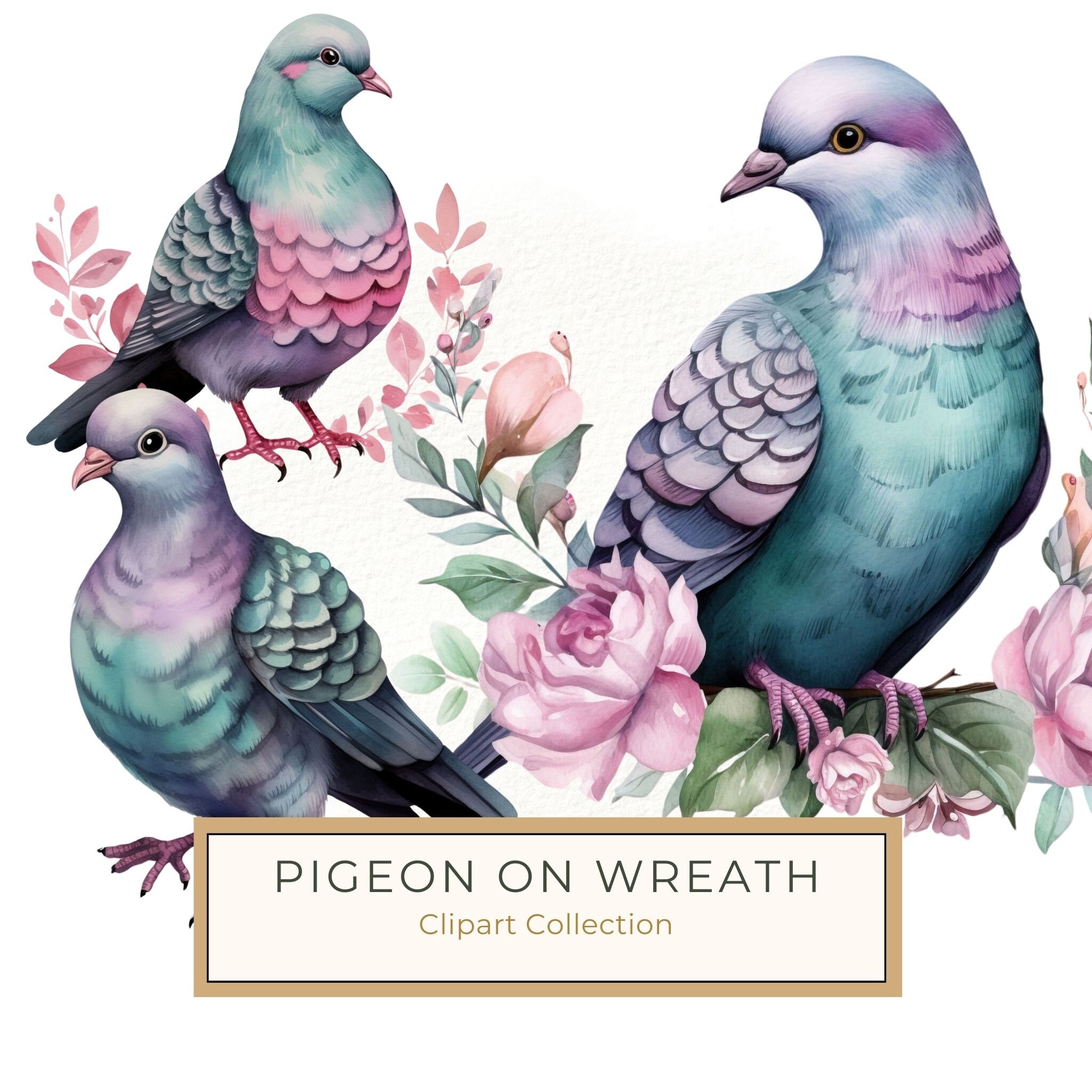 Watercolor Pigeon Clipart: Spring Floral Bird Art (Digital Download)
