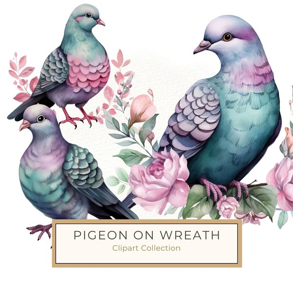 Watercolor Pigeon Clipart: Spring Floral Bird Art (Digital Download)