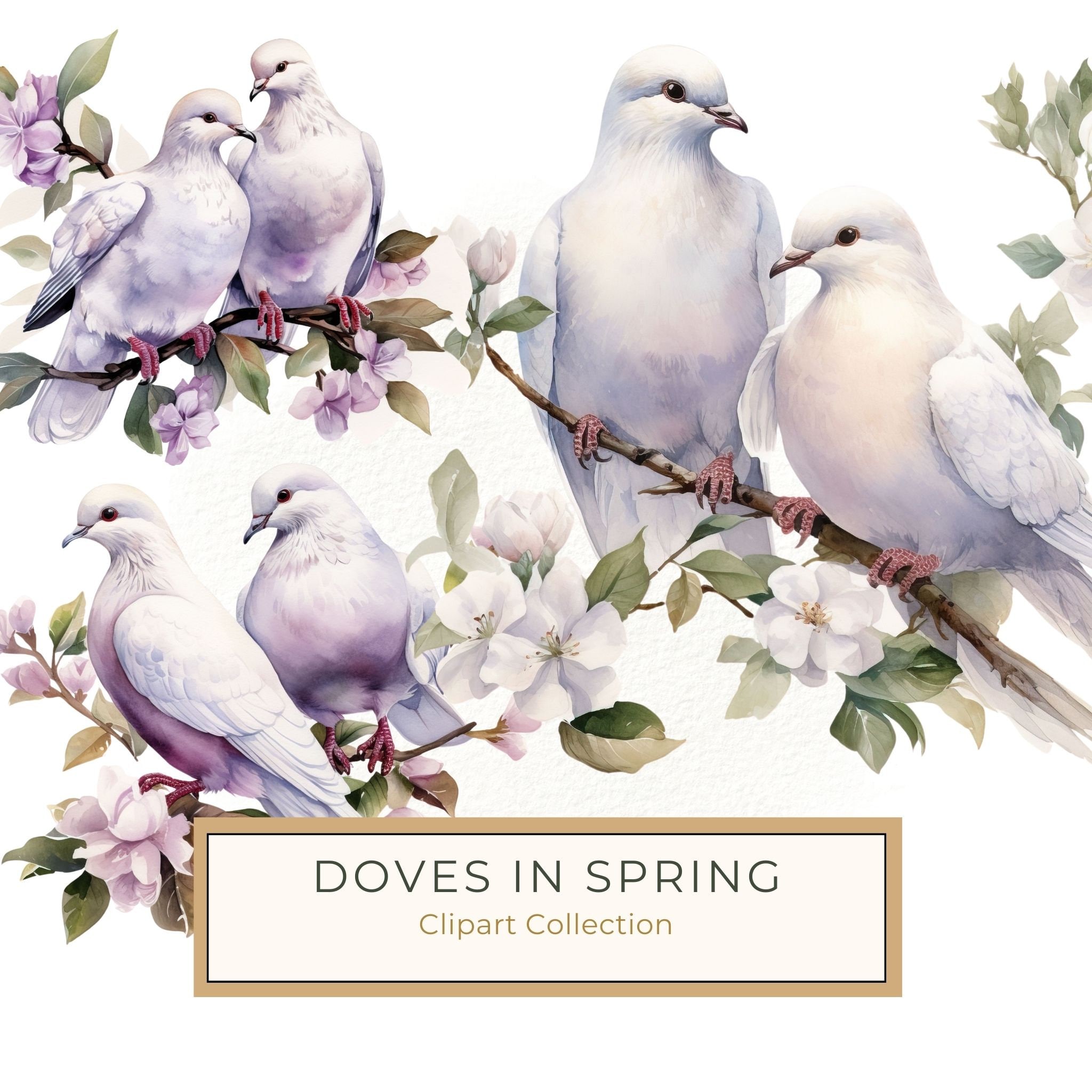 Watercolor Dove Clipart: Floral Branch PNG, JPG Graphics (Commercial Use)