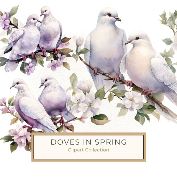 Watercolor Dove Clipart: Floral Branch PNG, JPG Graphics (Commercial Use)
