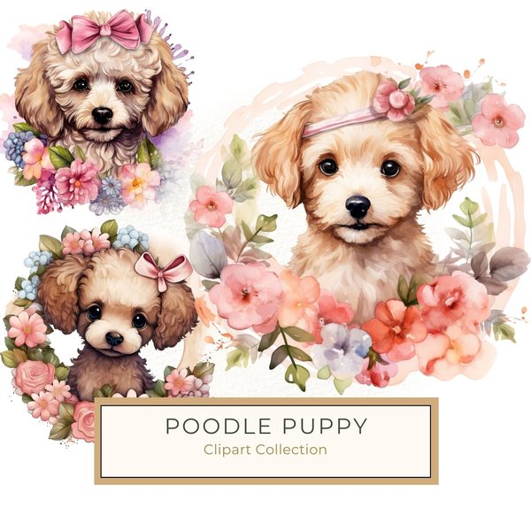 Watercolor Poodle Puppy Clipart: Floral Dog PNG (Commercial Use)