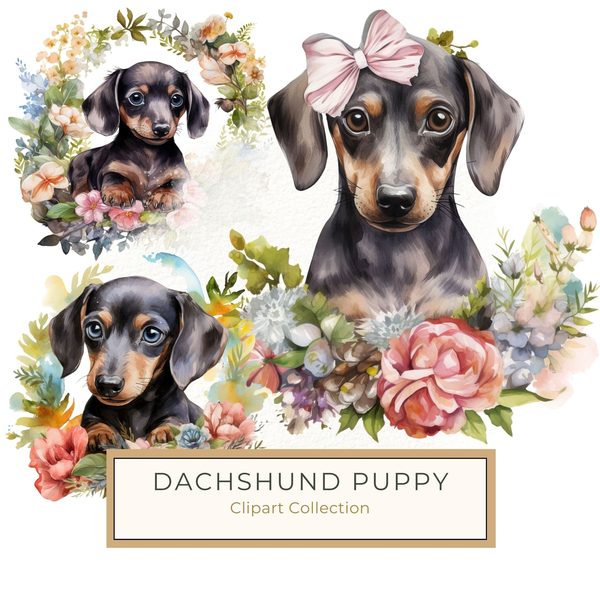 Watercolor Dachshund Puppy Clipart: Floral Wreath PNG JPG (Commercial Use)