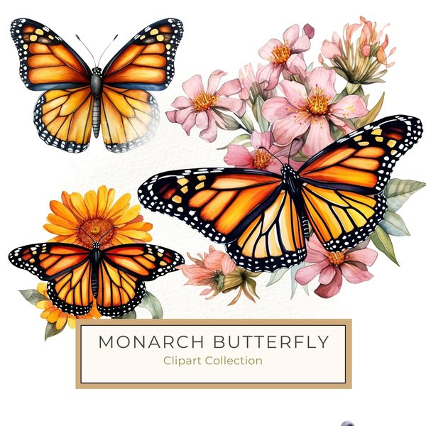 Watercolor Monarch Butterfly Clipart: Pink Flowers, Scrapbooking (JPG, PNG)