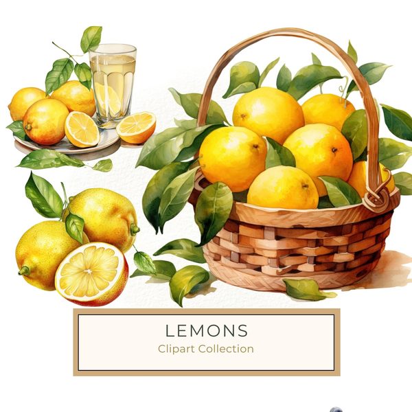 Watercolor Lemon Clipart: Fruit Basket, Lemon Juice (PNG JPG)