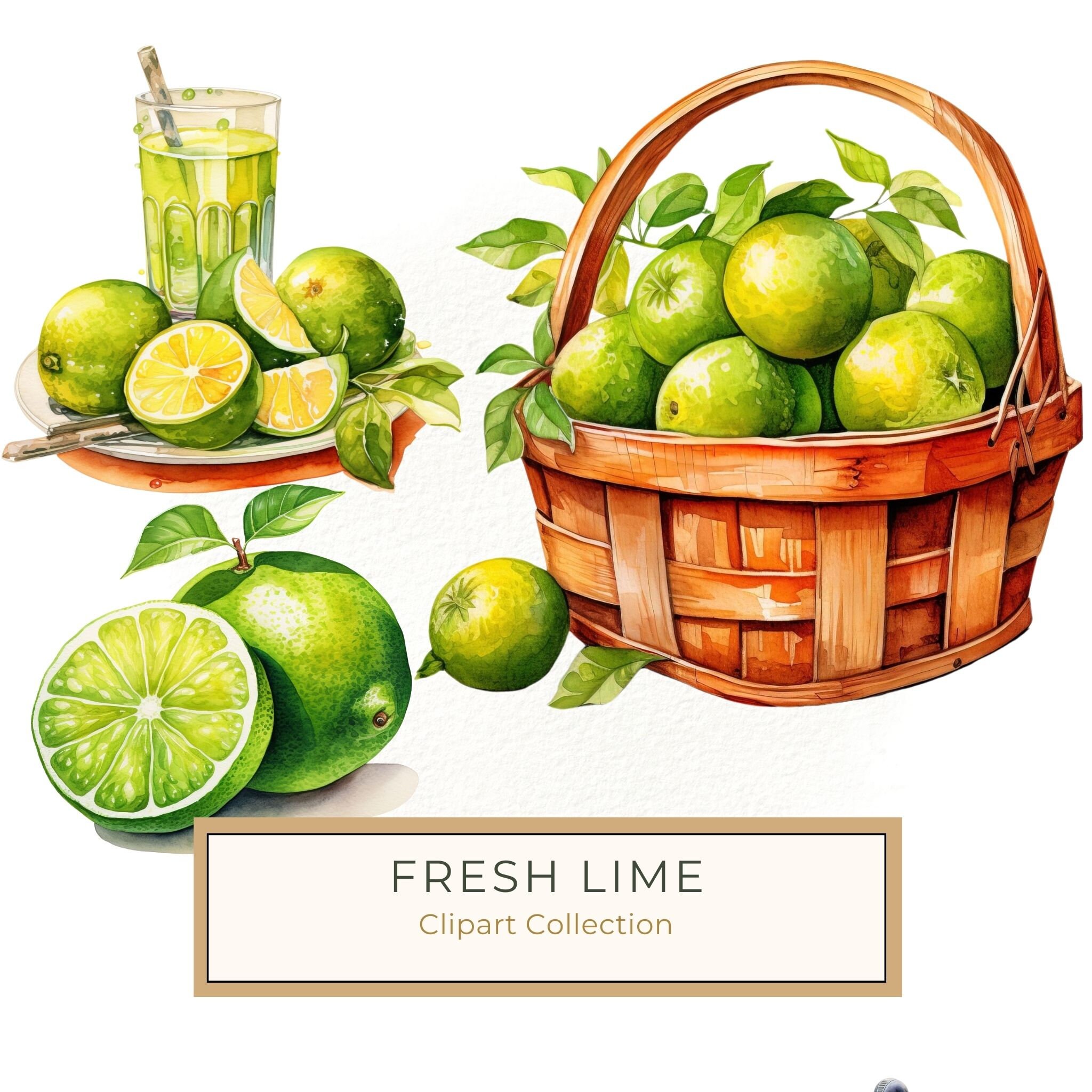 Watercolor Lime Clipart: Fresh Lime Juice, Basket (PNG JPG Digital Download)