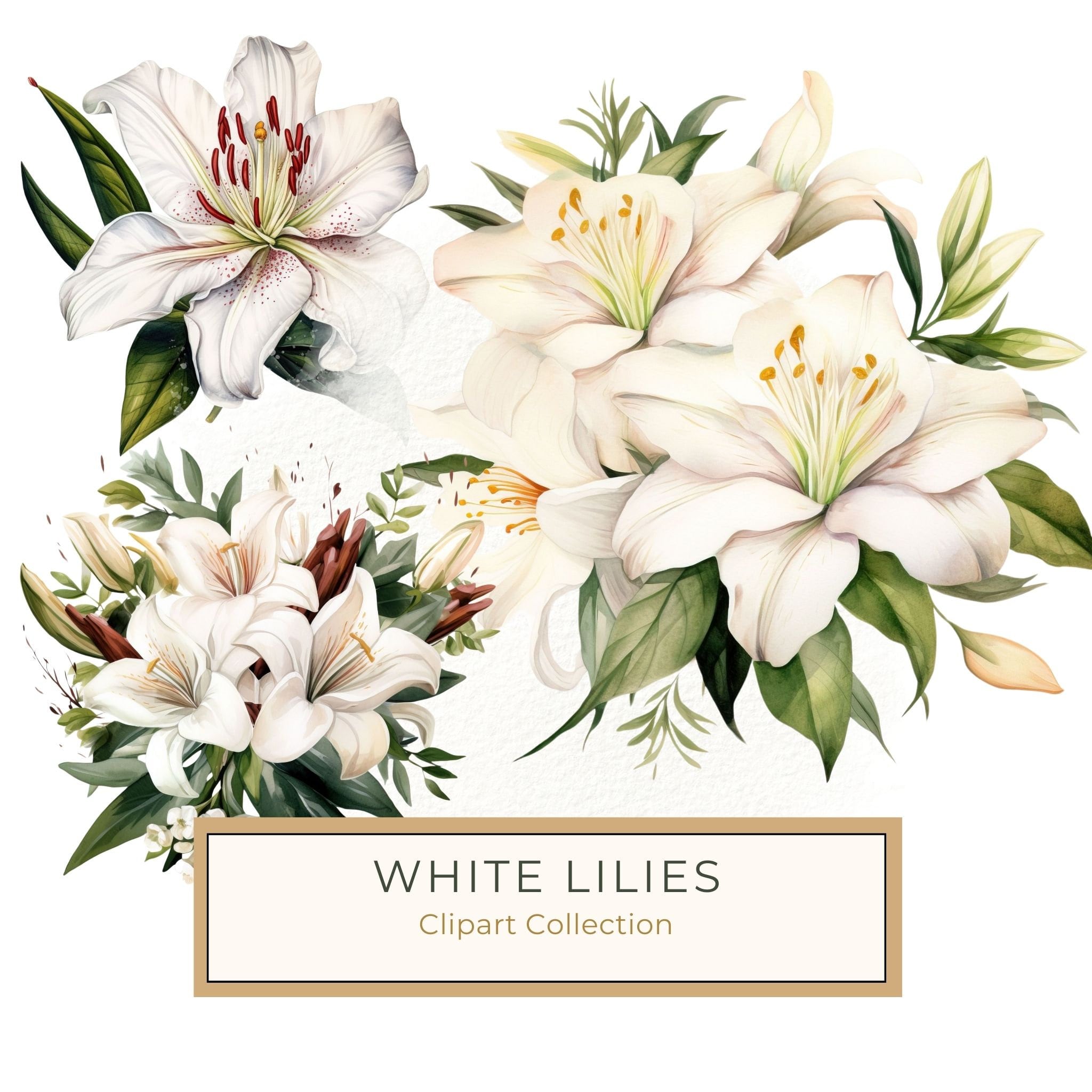 Watercolor Floral Bouquet: Roses & Lilies Clipart (JPG, PNG)