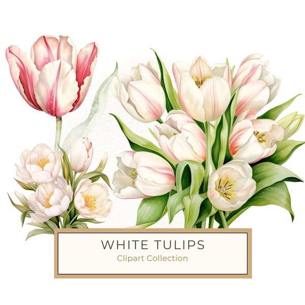 Watercolor Tulips Clipart Set: Yellow & Pink PNG Graphics (Commercial Use, Digital Download)
