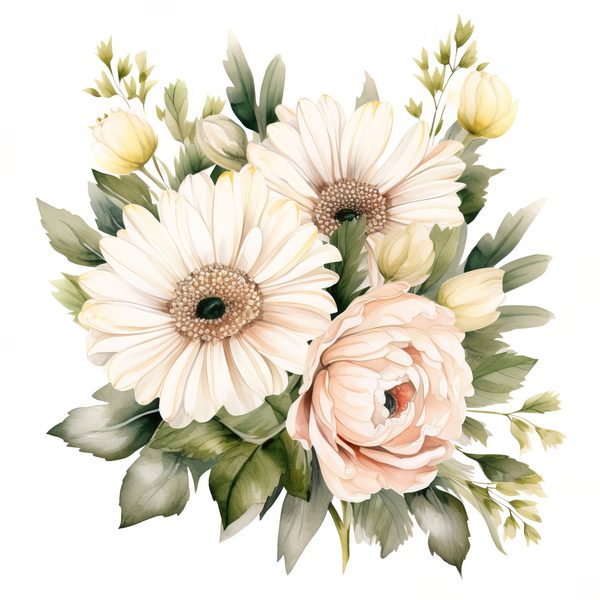 Watercolor White Gerbera Daisy Clipart: Floral PNG Art (Commercial Use) — image 9