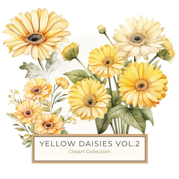 Yellow Daisy Watercolor Clipart: Floral PNG JPG (Digital Download)