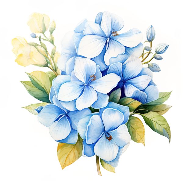 Blue Hydrangeas Watercolor Clipart: Floral Design (JPG, PNG) (Digital Download) — image 8