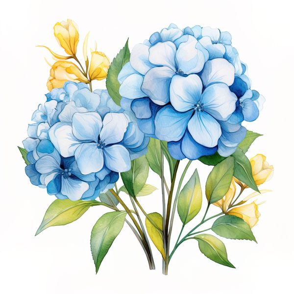Blue Hydrangeas Watercolor Clipart: Floral Design (JPG, PNG) (Digital Download) — image 17