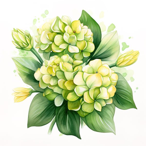 Watercolor Green Hydrangea Clipart: Floral PNG Set (Commercial Use) — image 9