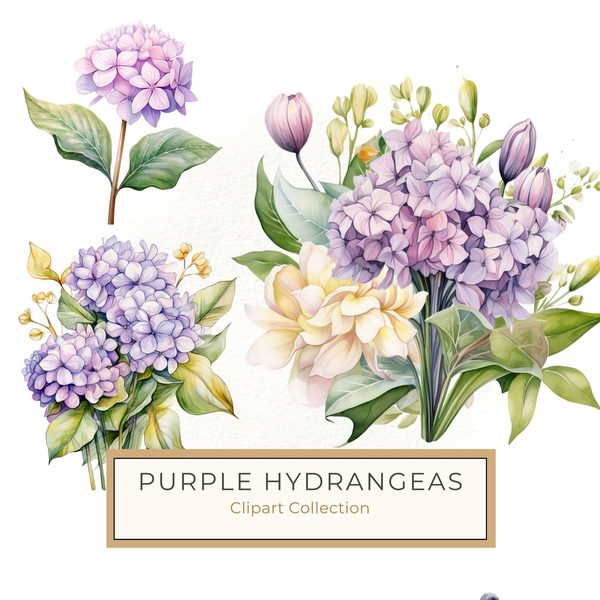 Watercolor Hydrangea Bouquet Clip Art: Floral DIY Graphics (PNG JPG)