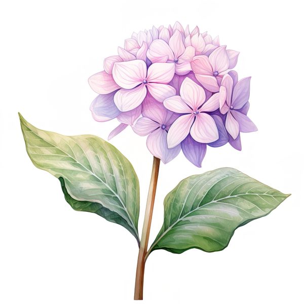 Watercolor Hydrangea Bouquet Clip Art: Floral DIY Graphics (PNG JPG) — image 1