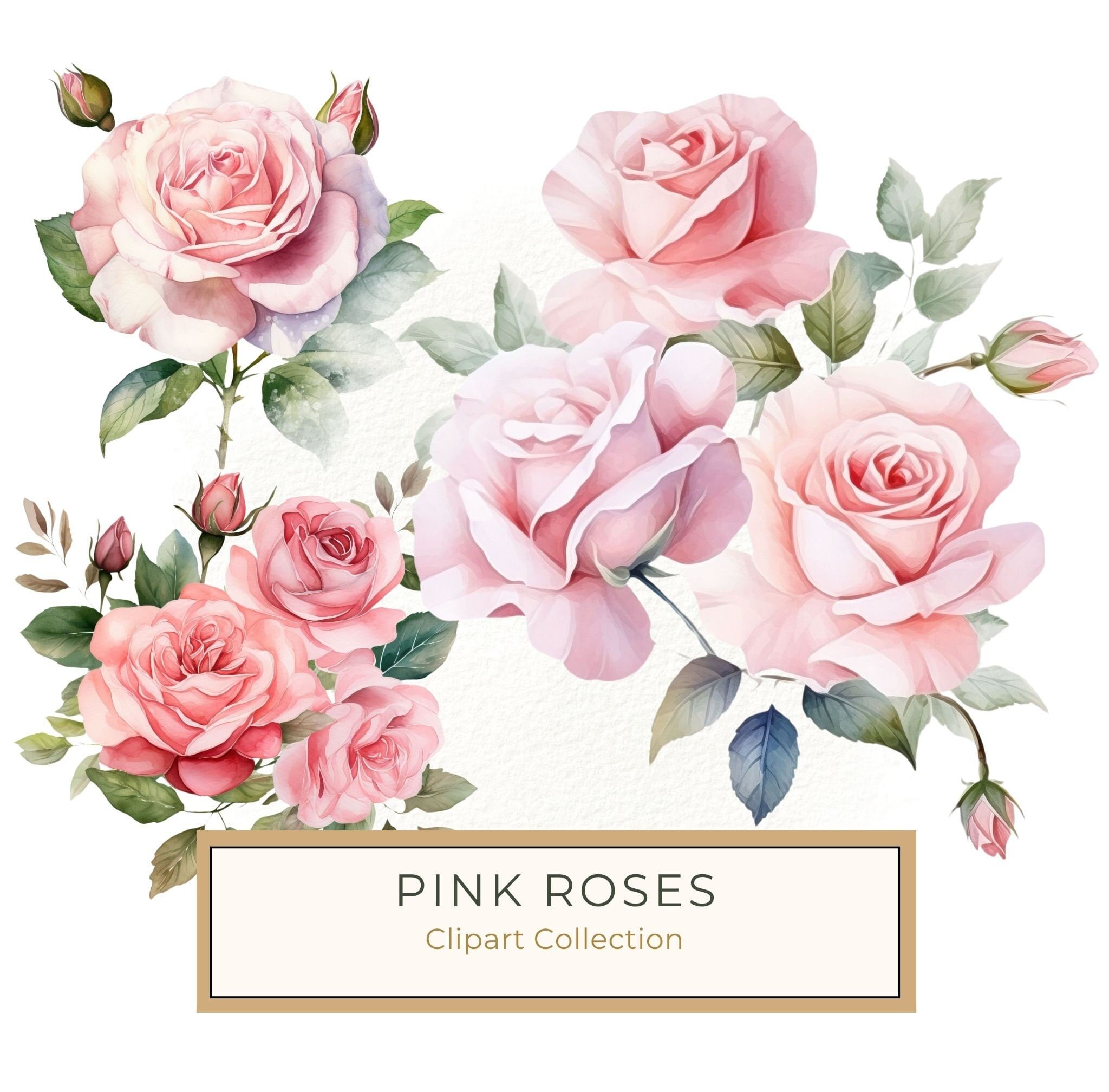 Watercolor Pink Roses Digital Paper: DIY Crafts & Scrapbooking (Digital Download)