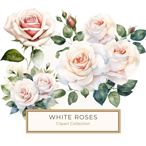 Watercolor White Roses Clipart: Elegant Floral Bouquet (JPG, PNG)