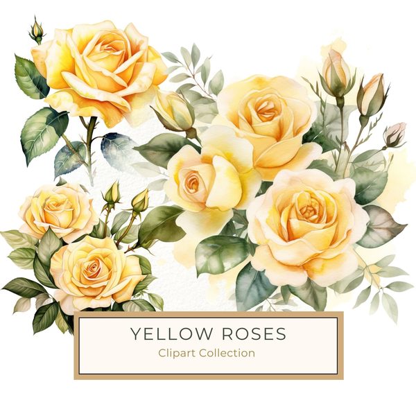 Yellow Rose Watercolor Clipart: Elegant Floral Designs (JPG, PNG)